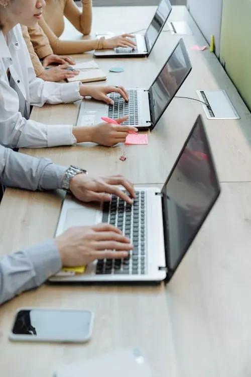 A row of people working at laptops along a shared office desk
